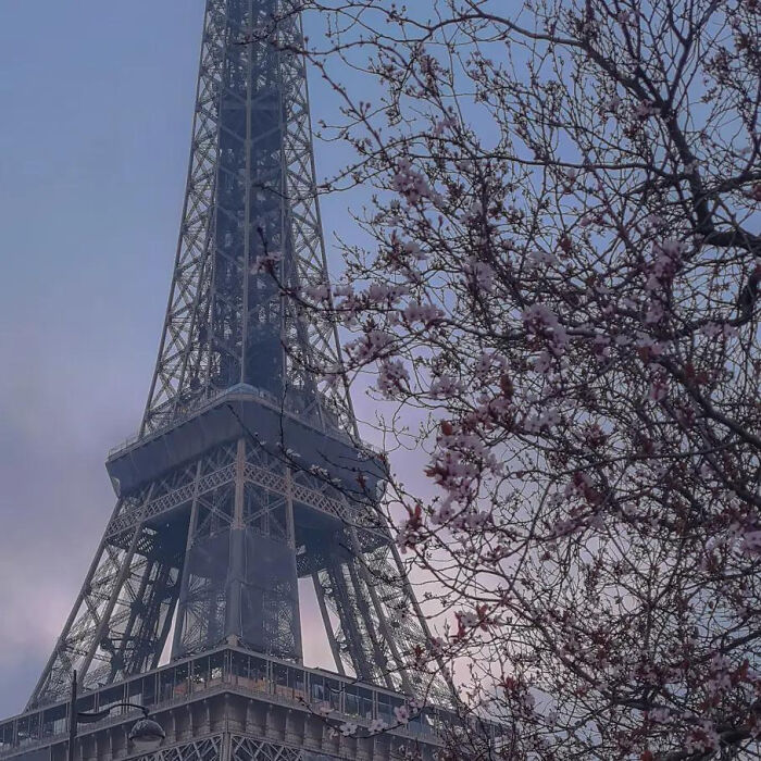 These 81 Photos Look WAY Too Perfect to Be Real