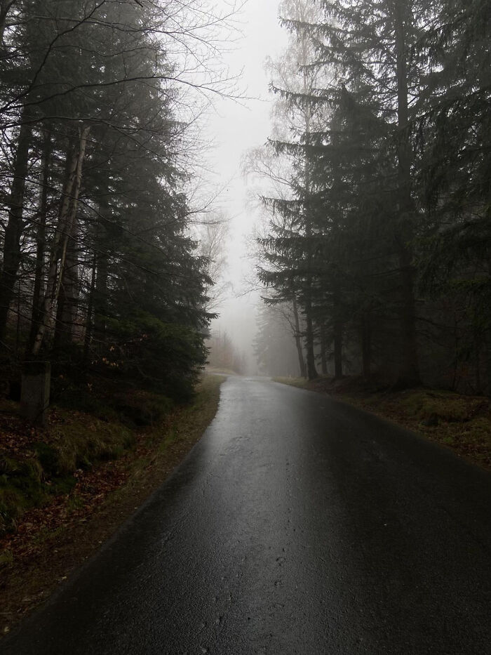These 81 Photos Look WAY Too Perfect to Be Real