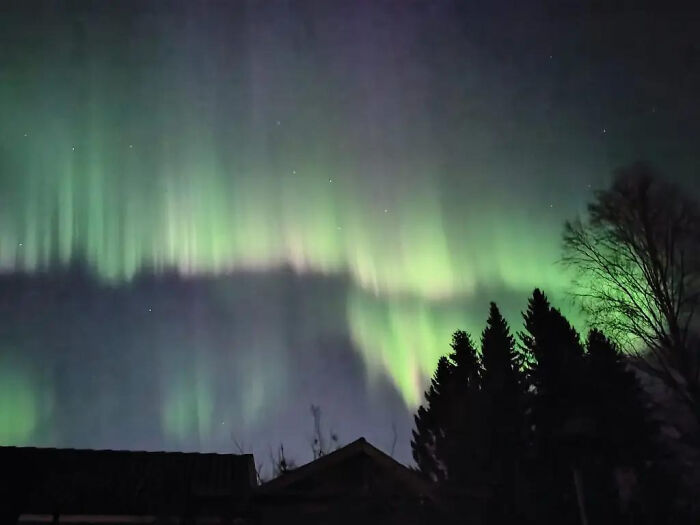 These 81 Photos Look WAY Too Perfect to Be Real