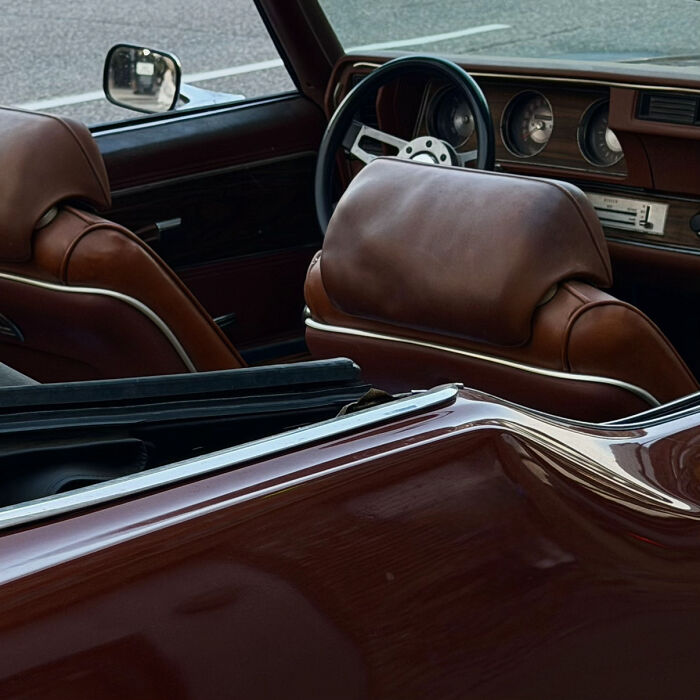 These 81 Photos Look WAY Too Perfect to Be Real
