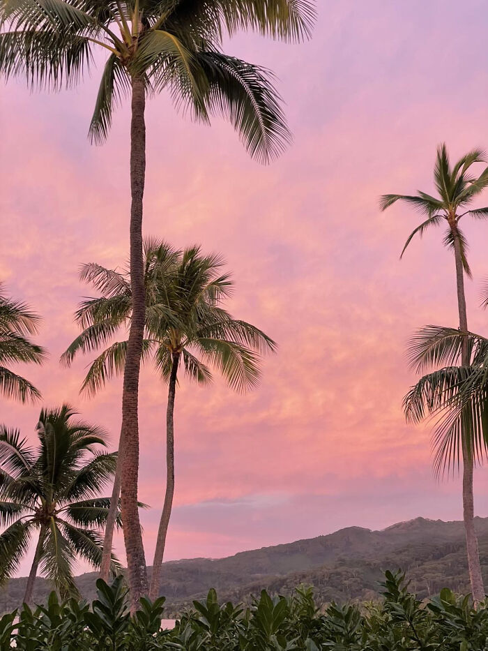 These 81 Photos Look WAY Too Perfect to Be Real