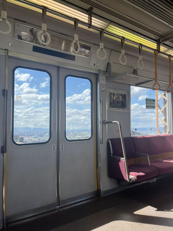 These 81 Photos Look WAY Too Perfect to Be Real