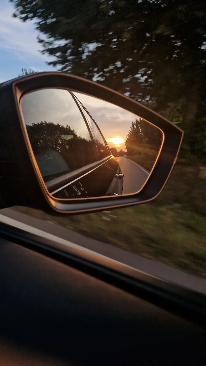 These 81 Photos Look WAY Too Perfect to Be Real
