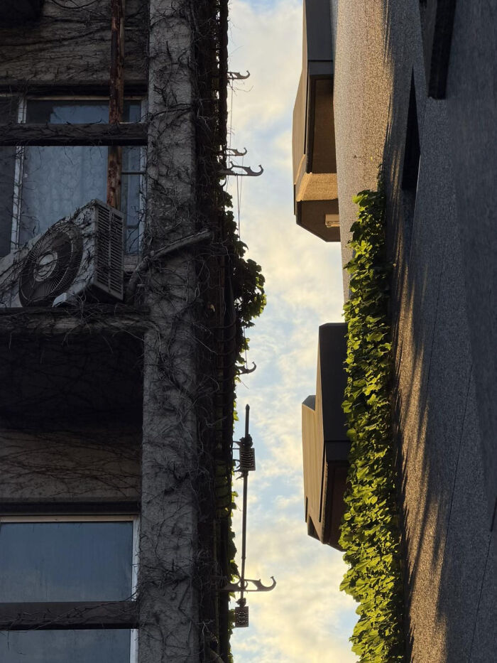 These 81 Photos Look WAY Too Perfect to Be Real