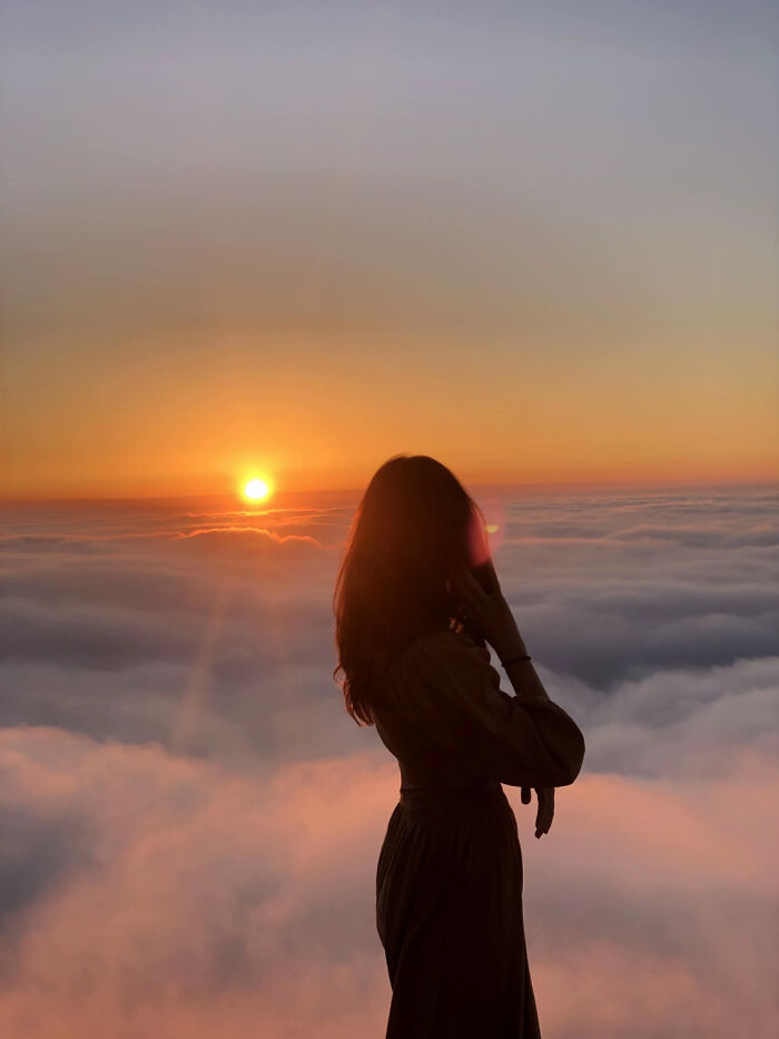 These 81 Photos Look WAY Too Perfect to Be Real