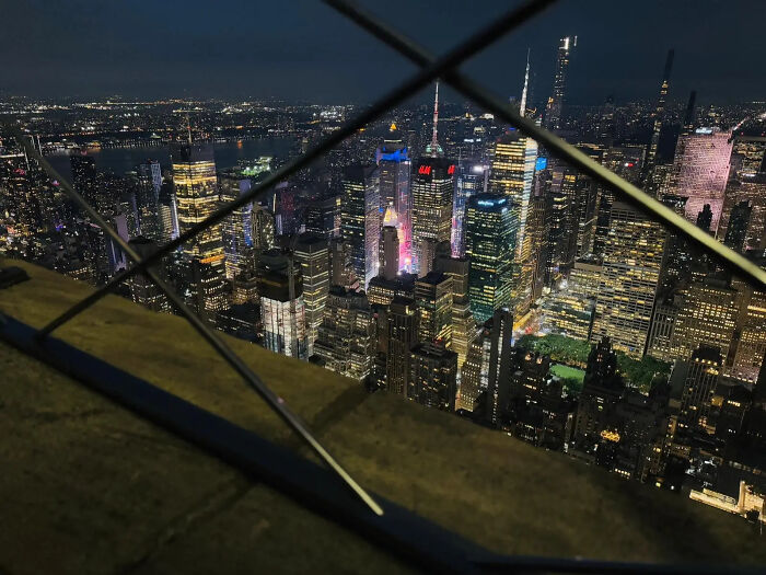 These 81 Photos Look WAY Too Perfect to Be Real
