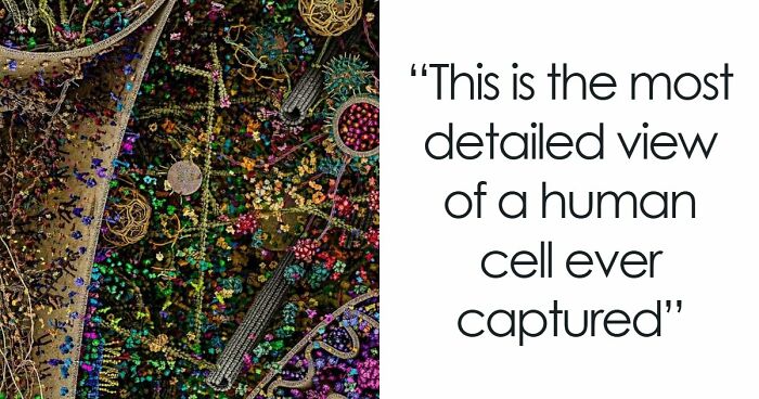 Let’s Dive Into Some Mind-Blowing Facts You Might’ve Missed!