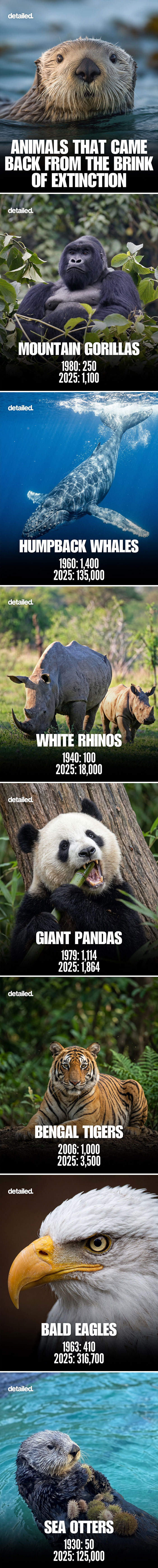 Let's Dive Into Some Mind-Blowing Facts You Might've Missed!