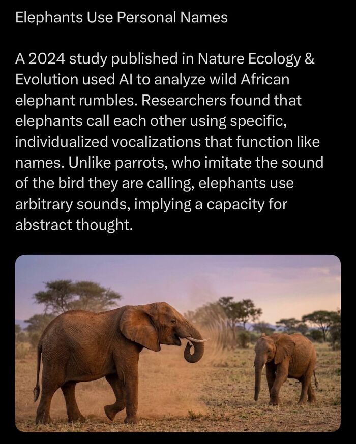 Let's Dive Into Some Mind-Blowing Facts You Might've Missed!