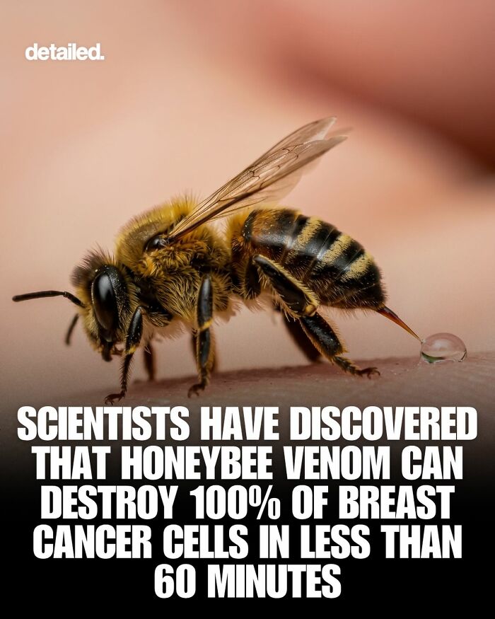 Let's Dive Into Some Mind-Blowing Facts You Might've Missed!