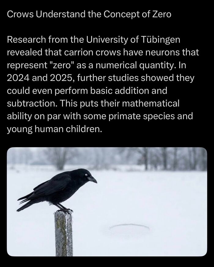 Let's Dive Into Some Mind-Blowing Facts You Might've Missed!