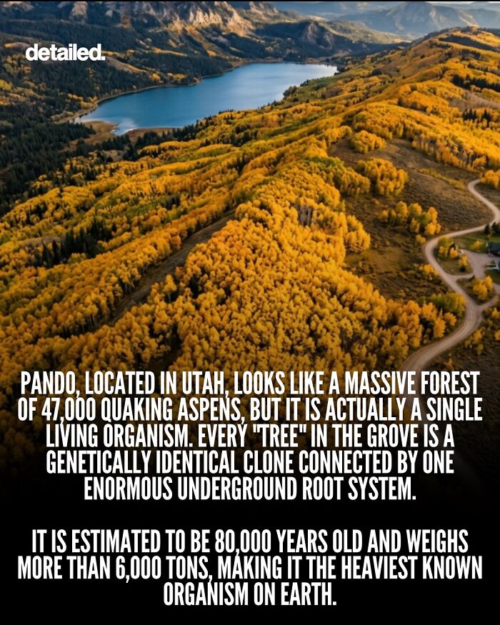 Let's Dive Into Some Mind-Blowing Facts You Might've Missed!
