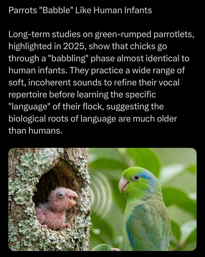 Let's Dive Into Some Mind-Blowing Facts You Might've Missed!