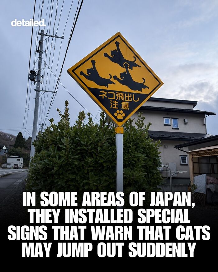 Let's Dive Into Some Mind-Blowing Facts You Might've Missed!