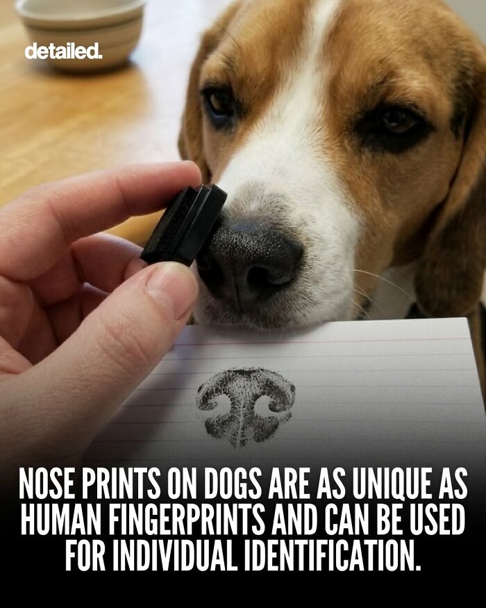 Let's Dive Into Some Mind-Blowing Facts You Might've Missed!