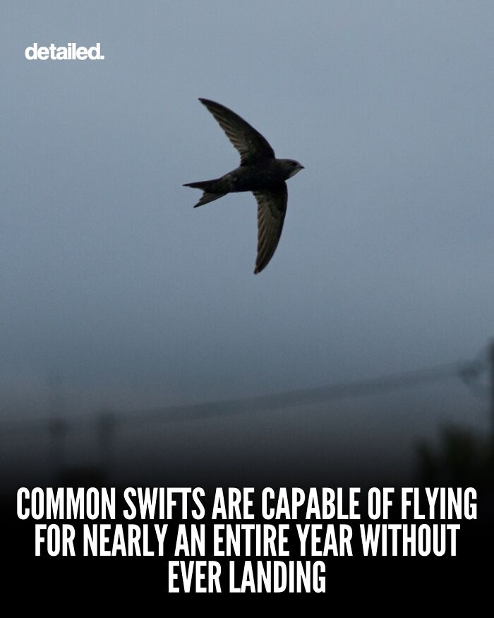 Let's Dive Into Some Mind-Blowing Facts You Might've Missed!