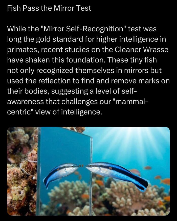 Let's Dive Into Some Mind-Blowing Facts You Might've Missed!