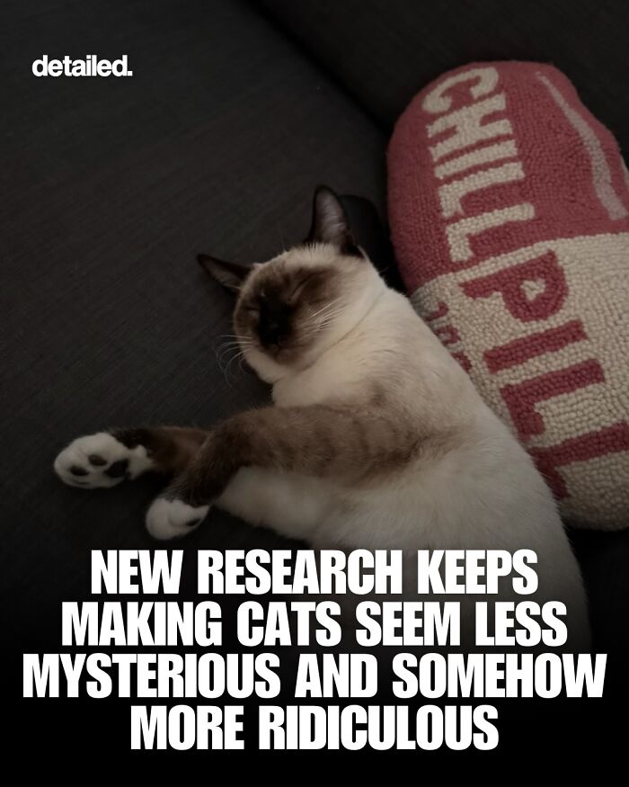 Let's Dive Into Some Mind-Blowing Facts You Might've Missed!