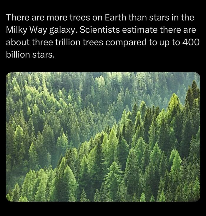 Let's Dive Into Some Mind-Blowing Facts You Might've Missed!