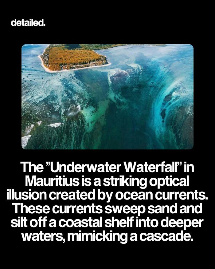 Let's Dive Into Some Mind-Blowing Facts You Might've Missed!