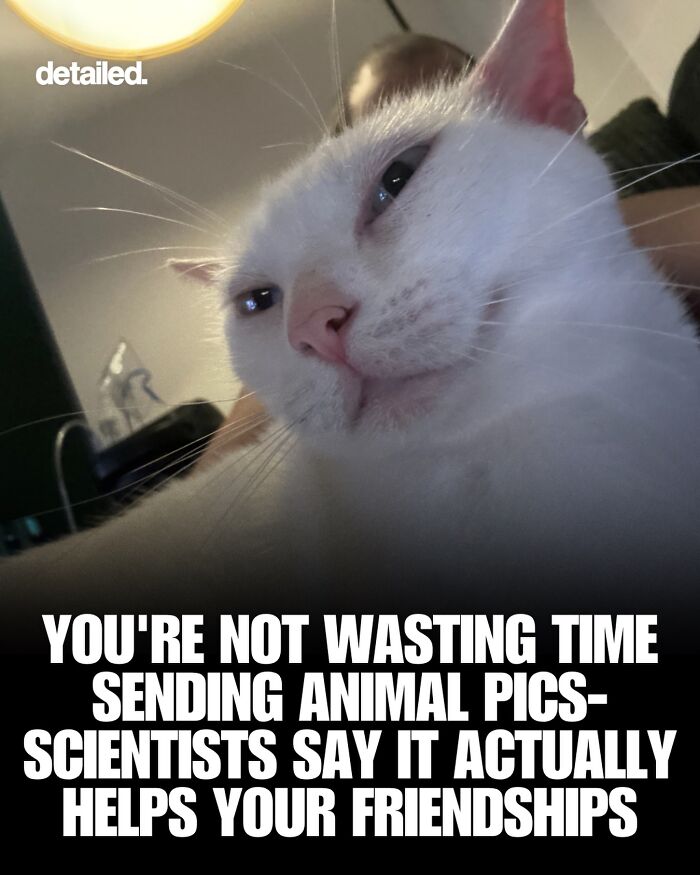Let's Dive Into Some Mind-Blowing Facts You Might've Missed!