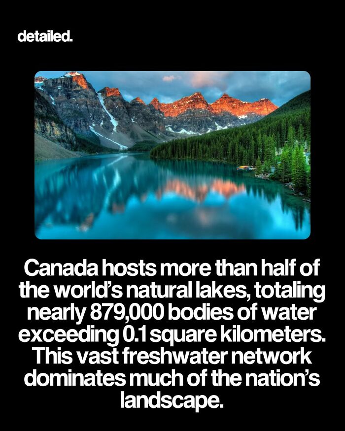 Let's Dive Into Some Mind-Blowing Facts You Might've Missed!