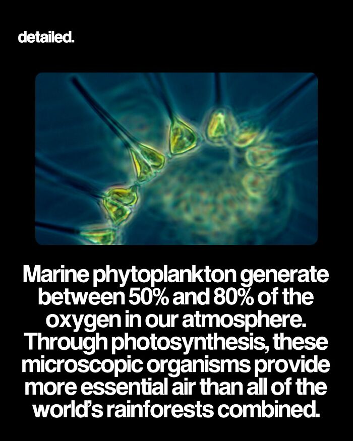 Let's Dive Into Some Mind-Blowing Facts You Might've Missed!