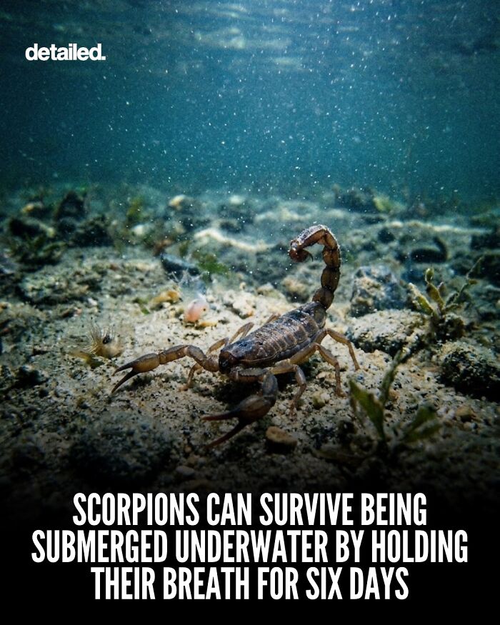 Let's Dive Into Some Mind-Blowing Facts You Might've Missed!