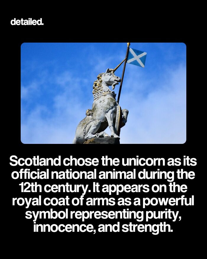 Let's Dive Into Some Mind-Blowing Facts You Might've Missed!
