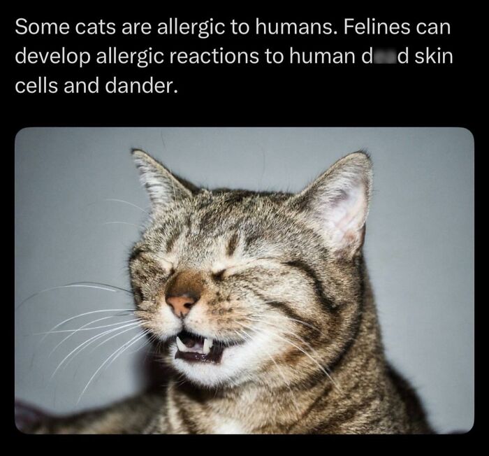 Let's Dive Into Some Mind-Blowing Facts You Might've Missed!