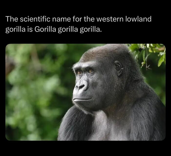Let's Dive Into Some Mind-Blowing Facts You Might've Missed!