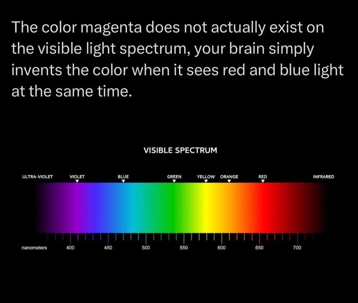 Let's Dive Into Some Mind-Blowing Facts You Might've Missed!
