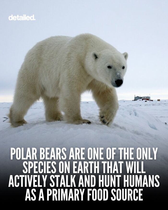 Let's Dive Into Some Mind-Blowing Facts You Might've Missed!