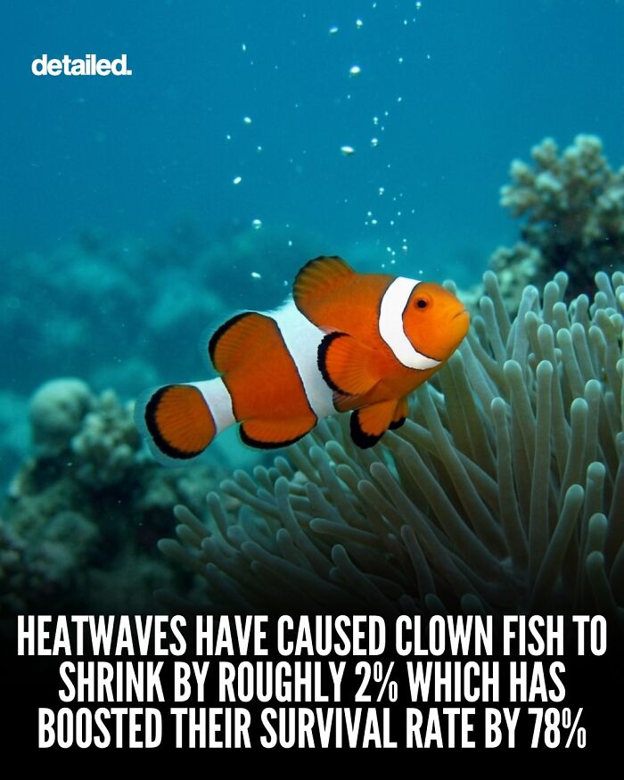 Let's Dive Into Some Mind-Blowing Facts You Might've Missed!