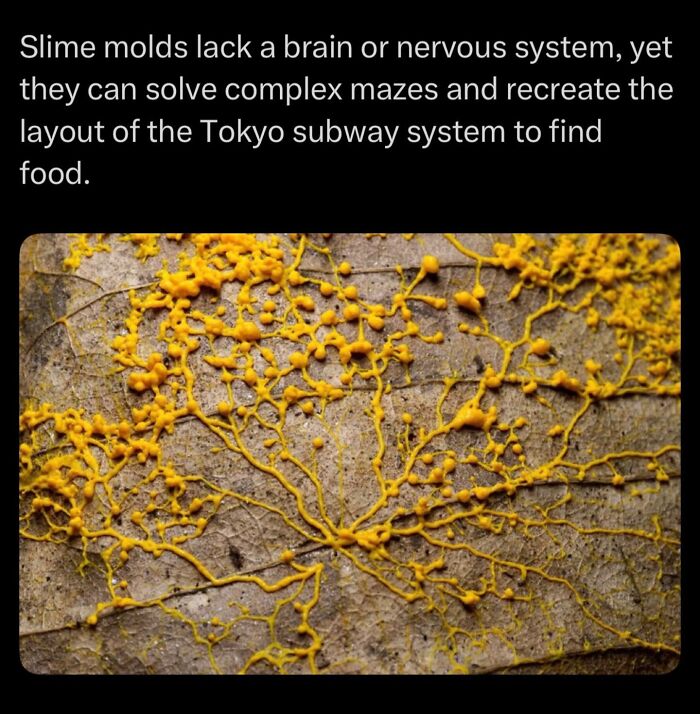 Let's Dive Into Some Mind-Blowing Facts You Might've Missed!