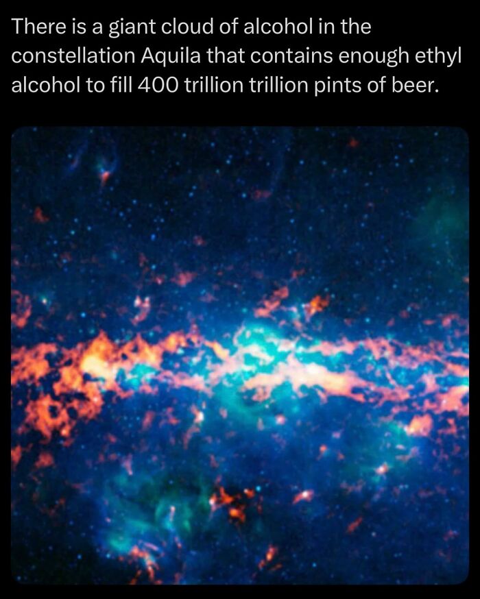 Let's Dive Into Some Mind-Blowing Facts You Might've Missed!