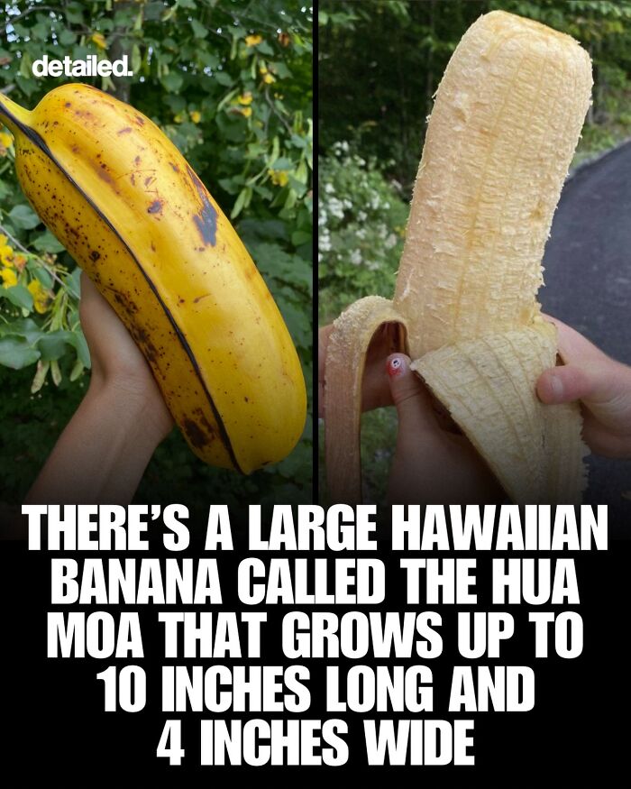 Let's Dive Into Some Mind-Blowing Facts You Might've Missed!