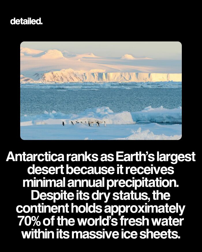 Let's Dive Into Some Mind-Blowing Facts You Might've Missed!