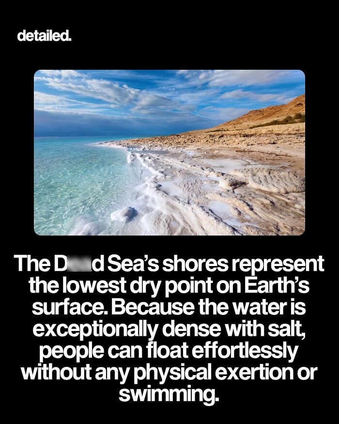Let's Dive Into Some Mind-Blowing Facts You Might've Missed!