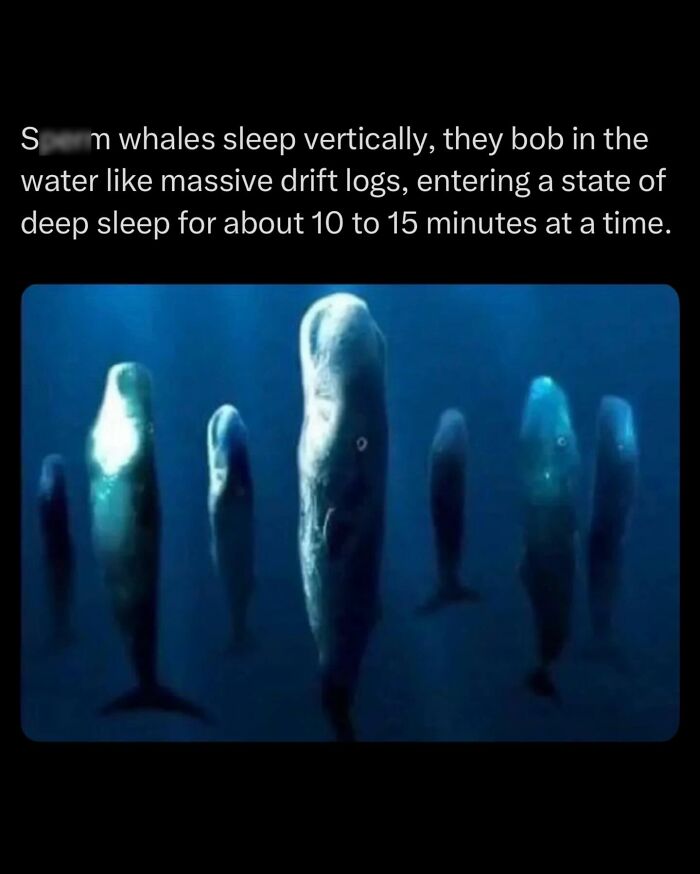 Let's Dive Into Some Mind-Blowing Facts You Might've Missed!