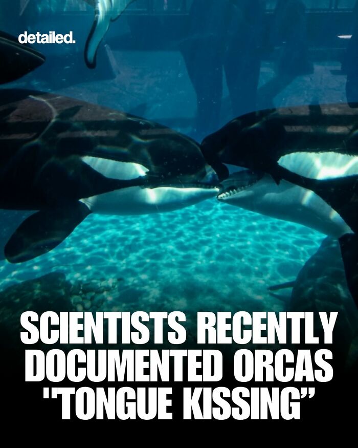 Let's Dive Into Some Mind-Blowing Facts You Might've Missed!