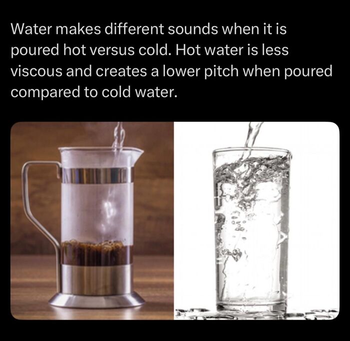 Let's Dive Into Some Mind-Blowing Facts You Might've Missed!