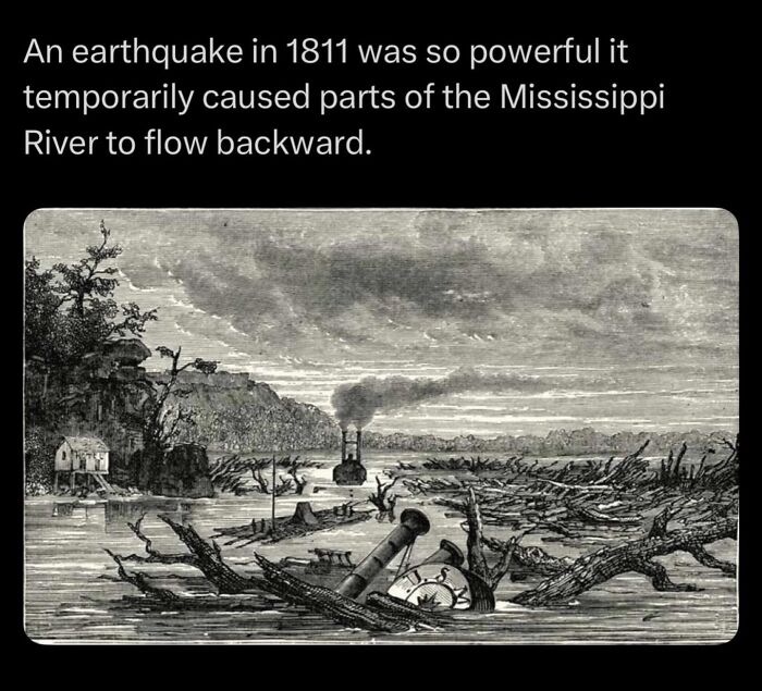 Let's Dive Into Some Mind-Blowing Facts You Might've Missed!