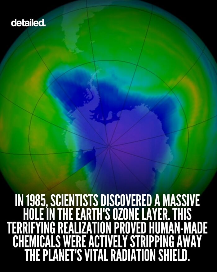 Let's Dive Into Some Mind-Blowing Facts You Might've Missed!