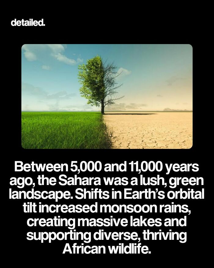 Let's Dive Into Some Mind-Blowing Facts You Might've Missed!