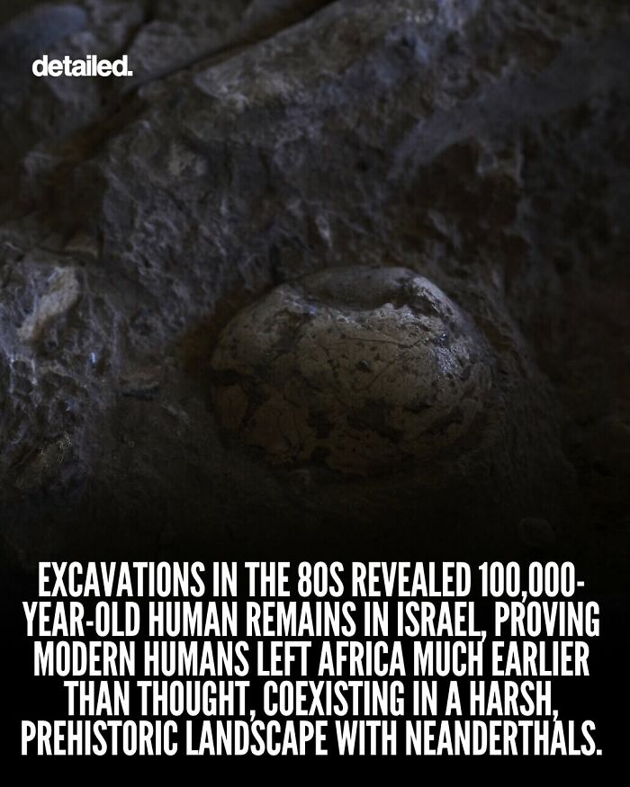 Let's Dive Into Some Mind-Blowing Facts You Might've Missed!