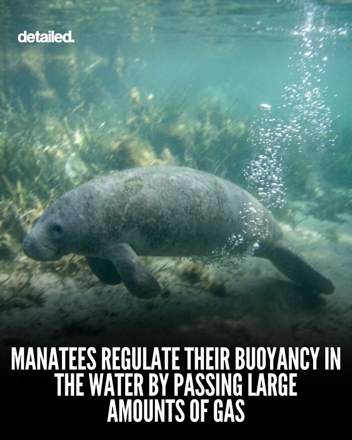 Let's Dive Into Some Mind-Blowing Facts You Might've Missed!