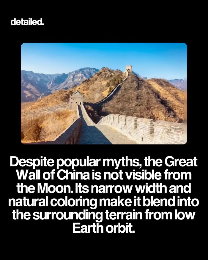 Let's Dive Into Some Mind-Blowing Facts You Might've Missed!