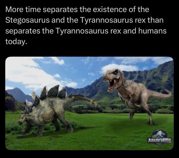 Let's Dive Into Some Mind-Blowing Facts You Might've Missed!
