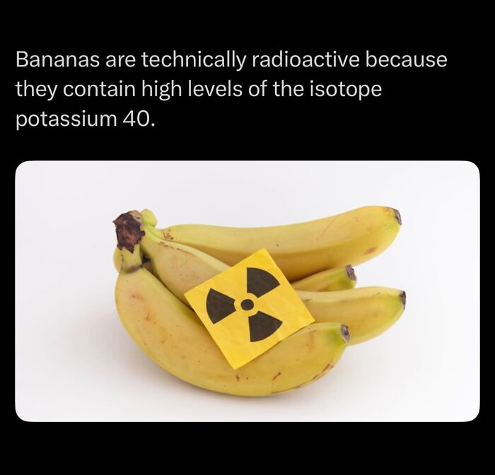 Let's Dive Into Some Mind-Blowing Facts You Might've Missed!